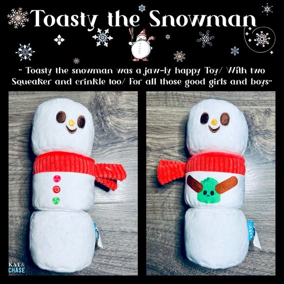 Barkbox Roland Overman Toasty Snowman Nana Secret Sauce M Christmas Thanksgiving - Picture 6 of 10